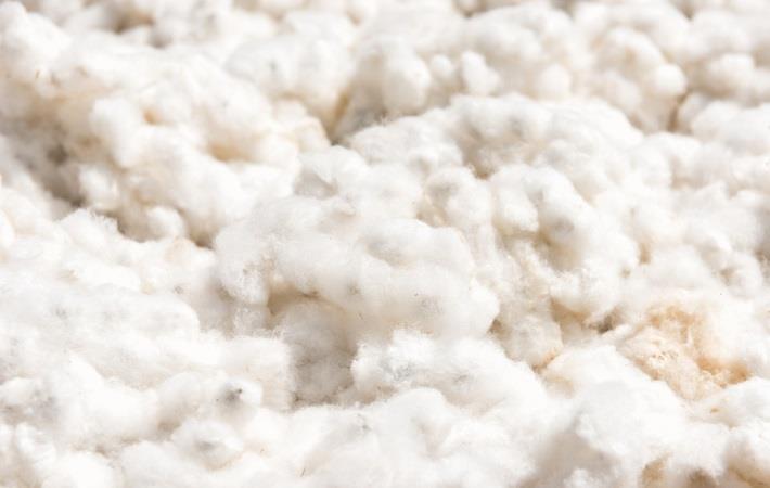 Nigeria's CBN to fund 1.6 mn cotton farmers this season